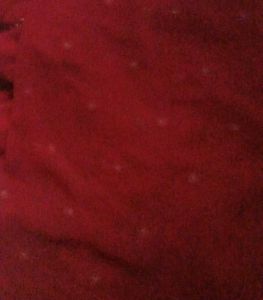 Women Saree