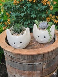 Set of 2 Cute Cat Face Ceramic Planter Pots