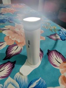 Torch lamp