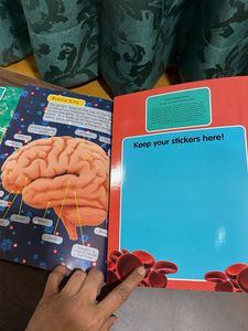 Amazing Body 3D Sticker Fun Book