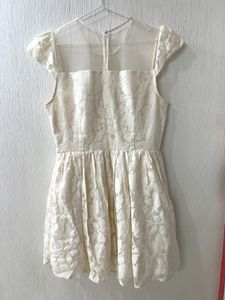 Elegant Lace Overlay Mini Dress