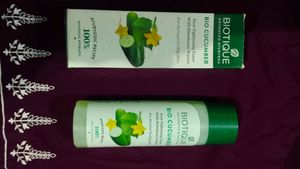 Ayurvedic Biotique Pore Tightening Toner &amp; Cleaner