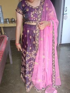 Beautiful Embroidered Lehenga Skirt