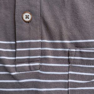 Branded T-shirt By Peter England