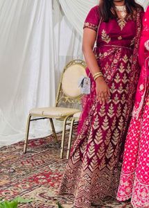 Embroidered Net lehenga