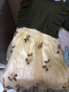 Girls Embroidered Tulle Dress