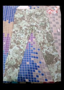 Light Grey Casual Pants