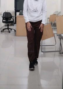 Brown Casual Trousers
