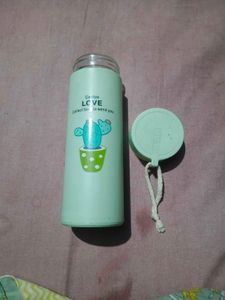 Cute Cactus Water Bottle