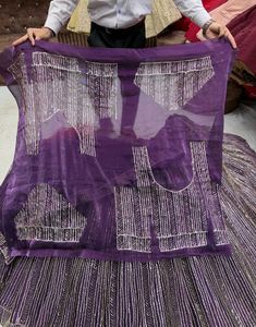 Stunning Sequin Lehenga Choli