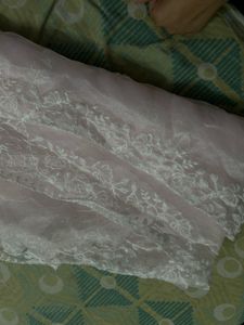 Elegant Pink Chikankari Kurta