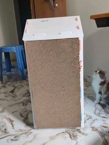 cat house