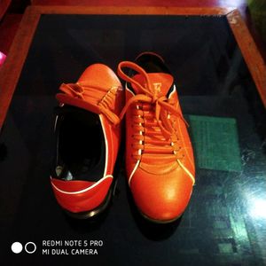 Casual Shoe