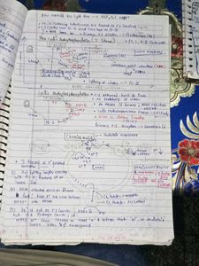 Handwritten Biology Notes