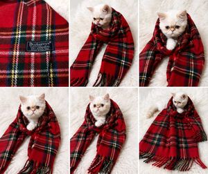 Burberry scarf