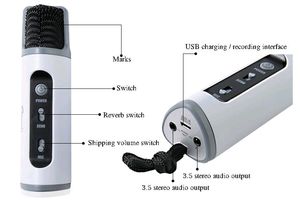 Gomeir Bluetooth Karaoke Smart Microphone
