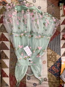 embroidary A l8ne dress