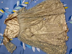 Elegant Golden Ethnic Gown