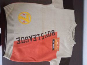 Selling Boys Sweater 4-6 Year Old In ₹200