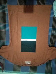 Men's Brown Color Block T-Shirt