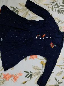 Navy Blue Embroidered Dress