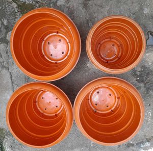 Big Plant Pots