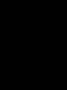 Flag 9