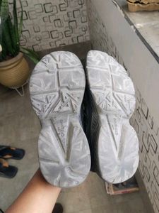 Branded Campus New  Black School And Casual Shoe