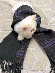Cozy Plaid Scarf