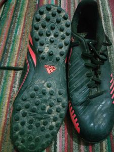 Adidas Sneakers