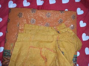 Elegant Embellished Saree