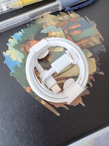 Apple Lightning USB Cable