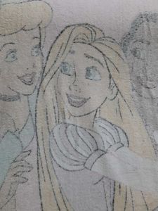 Disney Princess Blanket