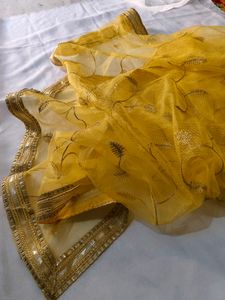 VERY Beautiful Net Dupatta