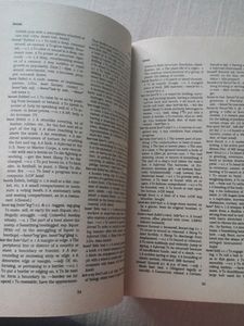 Webster's Pocket Dictionary