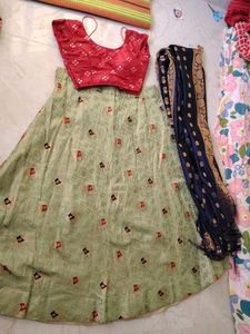 Embroidered Lehenga Choli Set