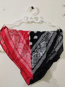Red and Black Paisley Bandana