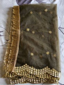 Embellished Net Dupatta