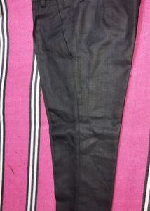 Formal Pant