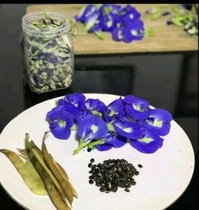 Aprajita Flower Seeds 20 Per Packet
