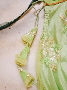 Kids Girl Lehenga Choli