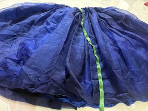 Blue Lehenga Choli Set