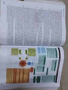 Class 11 Commerce Book Set