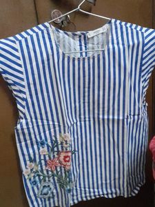 Blue Stripe Top
