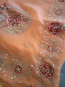 Beautiful Peach Saree with Red Blouse