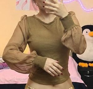 Chic Sheer Sleeve Top