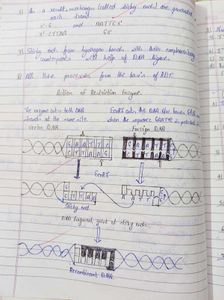 Biology Handwritten Class 12 Notes