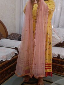 Peach Net Mirror Work Dupatta