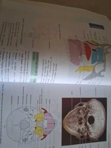 Textbook of Oral Anatomy, Histology, Physiology an
