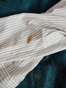 Striped Button-Up Shirt